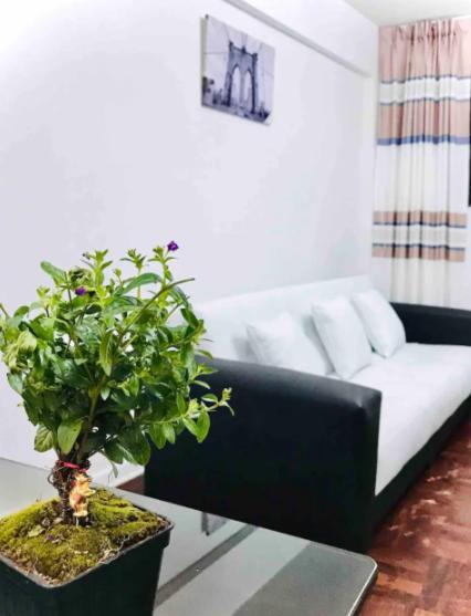 Smart Apart Miraflores * Lima